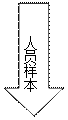 下箭头: 人员样本信息